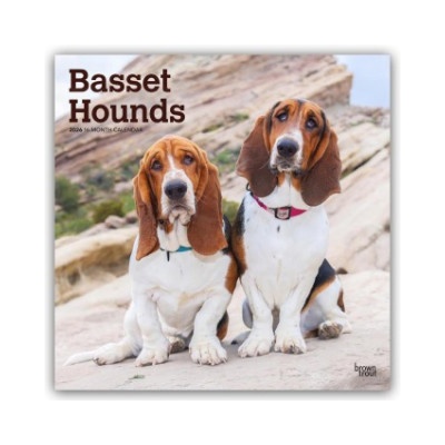 Browntrout Verlags GmbH Basset Hounds 2026 - 16-Monatskalender | BrownTrout Publishers Inc
