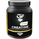 GF nutrition CREAPURE Creatine 500 g