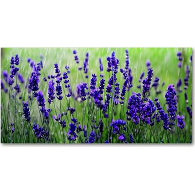 Foto obraz sklo tvrzené levanduľa 100x50 cm