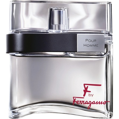 Salvatore Ferragamo F pour homme toaletná voda pánska 100 ml