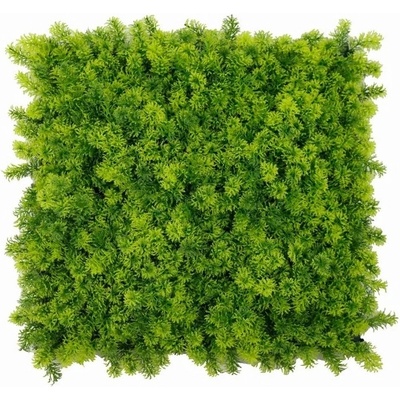 Moss coral, dielec 50 x 50 cm