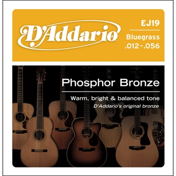 D'addario EJ19