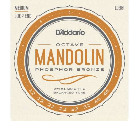 D'Addario EJ80