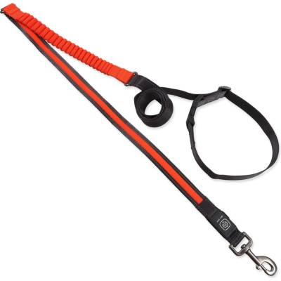 Dog Fantasy Vodítko USB LED nylonové běžecké