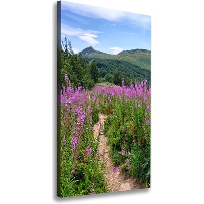 Vertikálny foto obraz na plátne do obývačky Bieszczady 50x100 cm