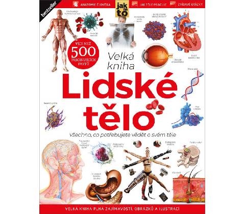 Lidské tělo