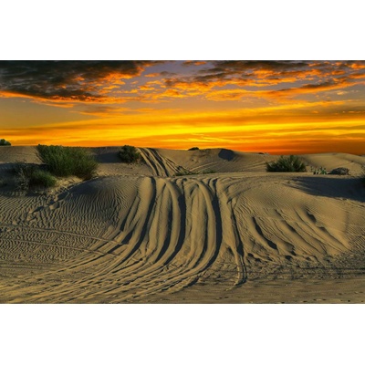 DIMEX ART Флизелинов фототапет северно сияние над пустинята 375 x 250 см