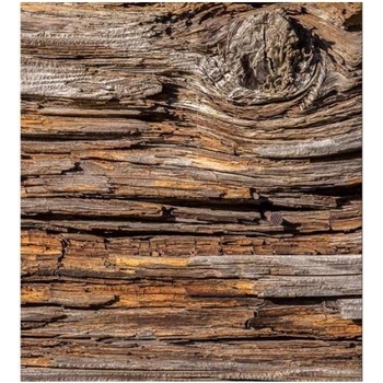 DIMEX ART s. r. o Флизелинов фототапет кора на дърво 225 x 250 см