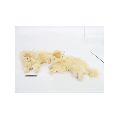 BEPPE Beige Persian cat lying down 36cm