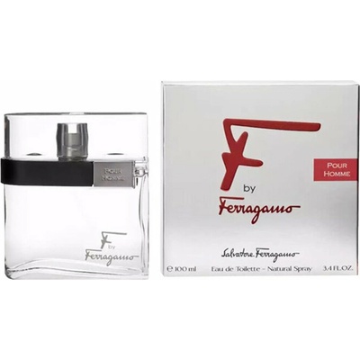 Salvatore Ferragamo F pour homme toaletná voda pánska 100 ml