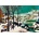 Bluebird Puzzle - Puzzle Pieter Bruegel the Elder - Hunters in the Snow (Win - 1 000 piese