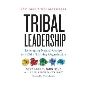 Tribal Leadership | Dave Logan, John King, Halee Fischer-Wright (2011)
