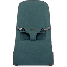 Kidnort Vinbär zelené