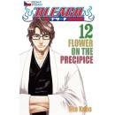 Bleach 12