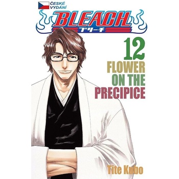 Bleach 12