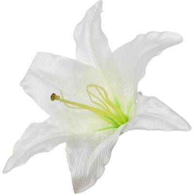 HLAVA ĽALIA BIELA P:20CM BAL:12KS
