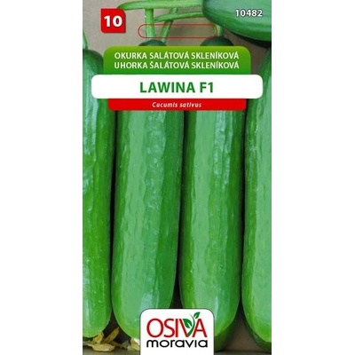 Okurka salátová - Lawina F1