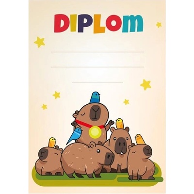 Dětský diplom A4 MFP DIP04-013 – Hledejceny.cz