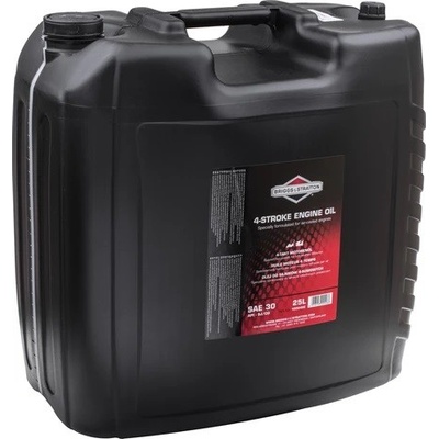 Briggs & Stratton SAE 30 25 l