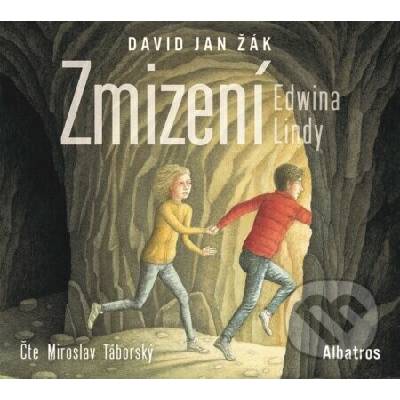 Zmizení Edwina Lindy - David Jan Žák