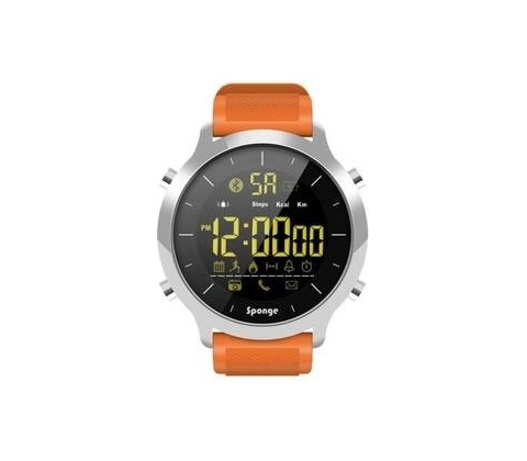 Sponge SURFWATCH