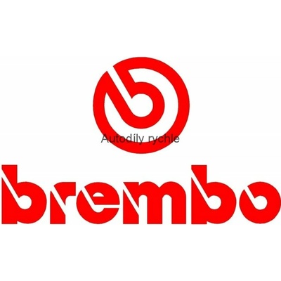 Brembo Premium Brzdová kapalina DOT 4 1 l | Zboží Auto