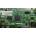 PANTUM Data Board for PANTUM M7100DW