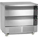 Tefcold UD2-2-P