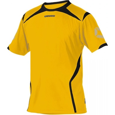 Stanno Torino T K.A. dres s krátkým rukávem 410107 4831