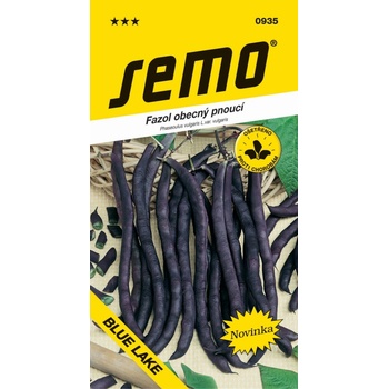 Semo Fazuľa kolíkový fialový - A Cosse Violette Sans Fil 7g