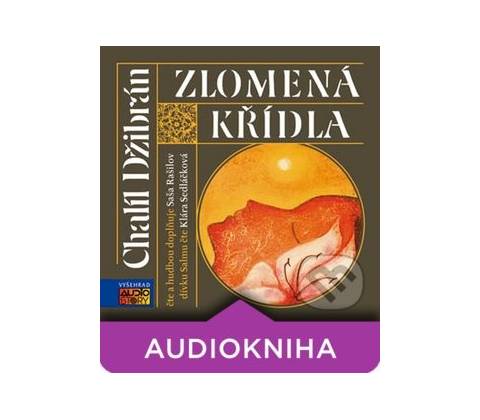 Zlomená křídla