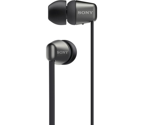 Sony WI-C310