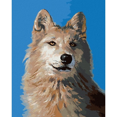 Zuty Malování Podle Čísel Vlk Portrét I D. Rusty Rust 40 x 50 Cm Plátno Rám 8596530189299