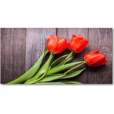 Foto obraz fotografie na skle červené tulipány 100x50 cm