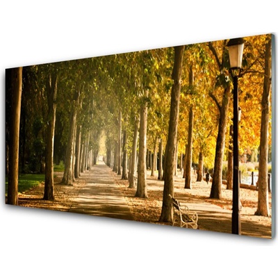 Obraz na skle Park Alej Krajina 100x50 cm