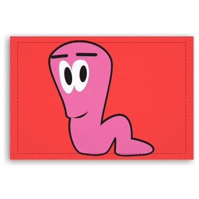 Fotoobraz 90x60 cm střední Worm