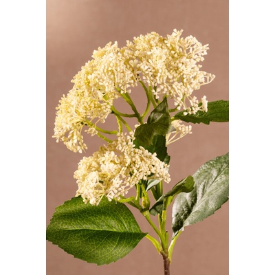 Paramit BUDDING HYDRANGEA Aranžovací květina bílá 56 cm