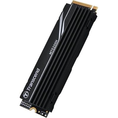 Transcend 250H 1TB, TS1TMTE250H