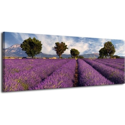 Obraz na plátně-Levandulové pole plátno 1 100x40