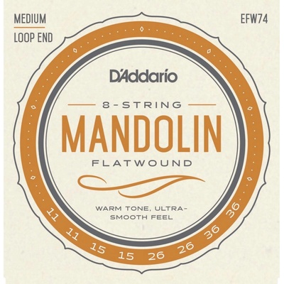 D'Addario EFW74
