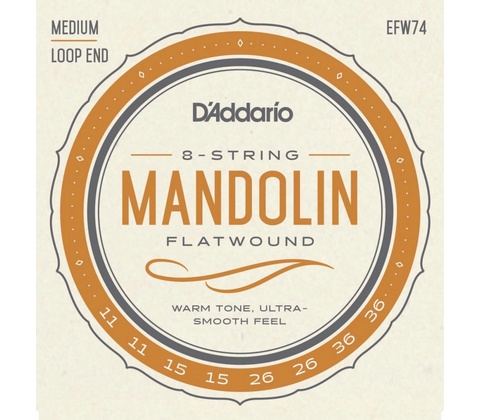 D'Addario EFW74