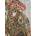 Magnolia - Puzzle African Beauty - 1 000 piese