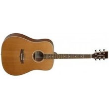 Tanglewood TW28 CSN