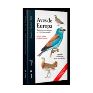 BIRDS OF THE MESOZOIC | JUAN BENITO, ROC OLIVE POUS (ISBN: 9788416728527)