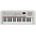 Yamaha PSS E30