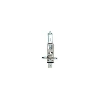 Hejalux H1 P14,5s 24V 70W