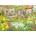 Ravensburger - Puzzle Valley Farm Café - 1 000 piese