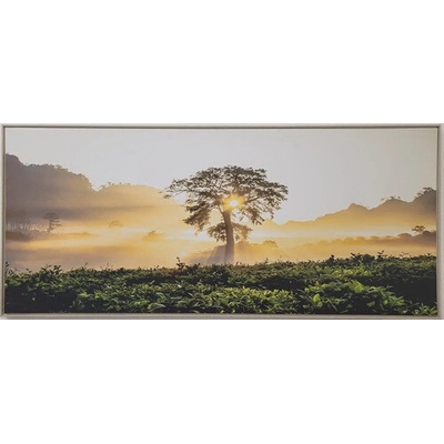 Obraz SHADOW 59x134cm Strom