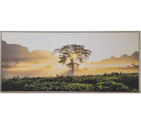 Obraz SHADOW 59x134cm Strom
