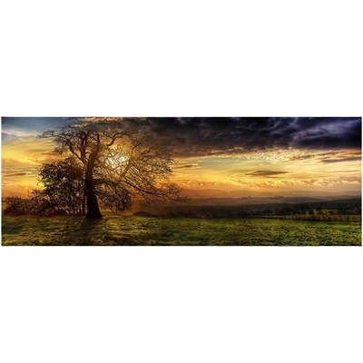MORIMPEX Obraz plátno Strom, 50x150 cm